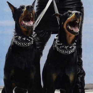 国自产拍在线天天更新2019
