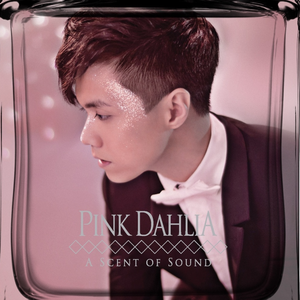 国自产拍在线天天更新2019
