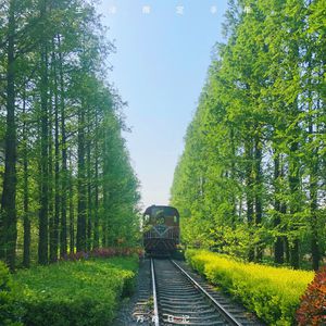 国自产拍在线天天更新2019
