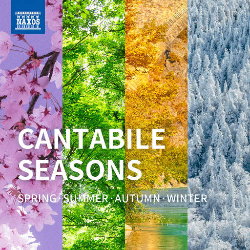 国自产拍在线天天更新2019
